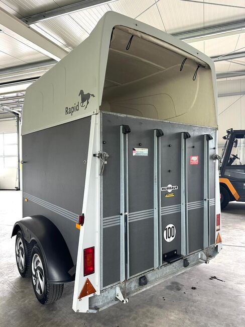 ❗️Humbaur Rapid Saka Holz Poly Pferdeanhänger Pferdehänger, Humbaur  Rapid , Fuchs Daniel, Ellgau - Pferdeanhänger seit 2016  (Nutzfahrzeughandel und Vermietung Daniel Fuchs ), Horse Trailers, Ellgau , Image 5