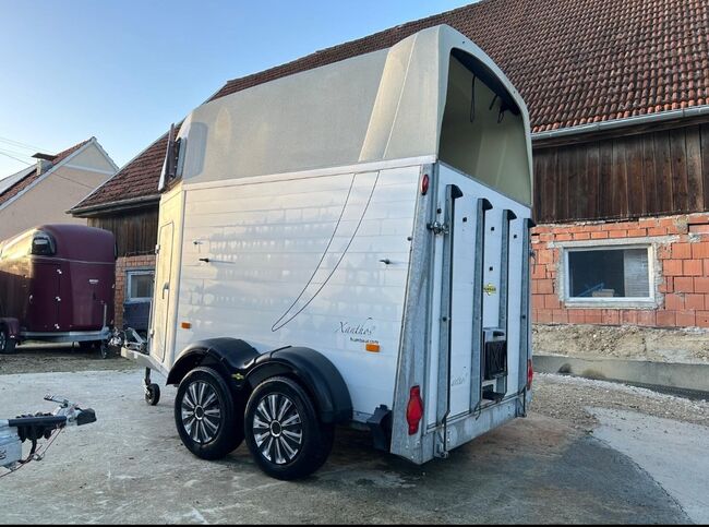 Humbaur Xanthos 2.400kg, Humbaur Xanthos, Sport- und Freizeitpferde Fuchs (Sport- und Freizeitpferde Fuchs), Horse Trailers, Ehingen, Image 15