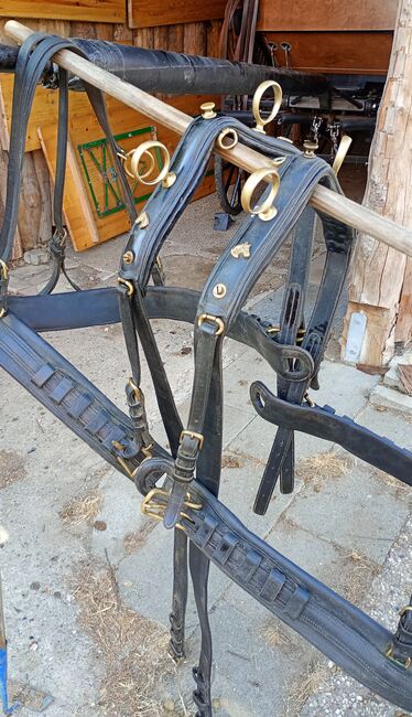 Ungarisches , Geschirr, Zweispänner Geschirr , André, Carriages, Naumburg
