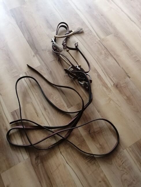 Kopfstück echt Leder, Christina Weishaupt , Nosebands, Karlsruhe