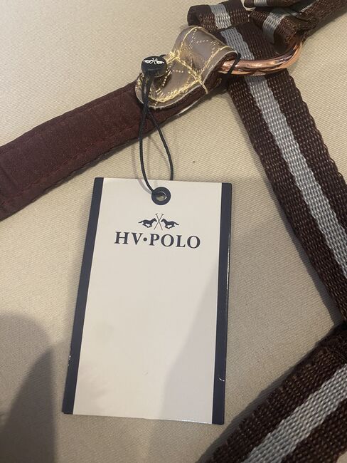 Hv Polo Halfter Pony, Hv Polo Wayomi , Kim, Halfter, Bad Laer, Abbildung 4