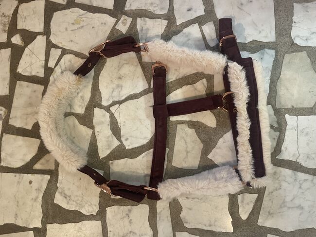 Hv Polo Halfter, Lena-sofie, Kantary, Herzogenrath 