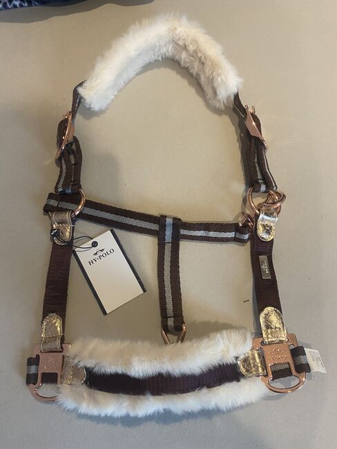 Hv Polo Halfter Pony, Hv Polo Wayomi , Kim, Halters, Bad Laer