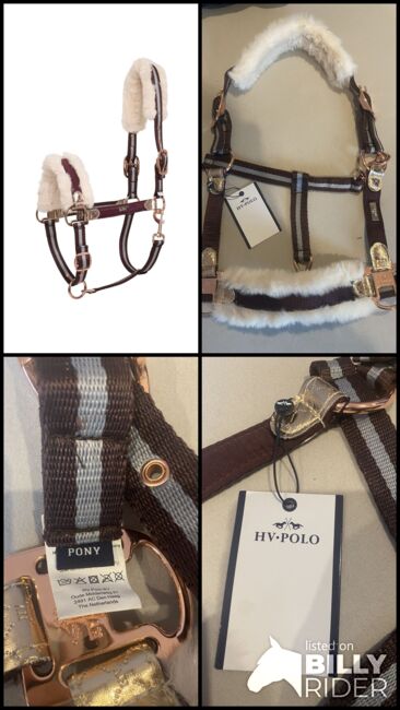 Hv Polo Halfter Pony, Hv Polo Wayomi , Kim, Halters, Bad Laer, Image 5