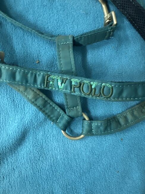 HV Polo Halfter, HV Polo, Werny, Halters, Lassee, Image 2
