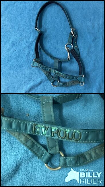 HV Polo Halfter, HV Polo, Werny, Halters, Lassee, Image 3