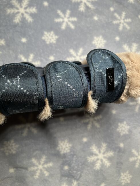 Hv Polo Welmoed Shine Gamaschen, Hv Polo, Katharina , Tendon Boots, Groß-Enzersdorf, Image 7