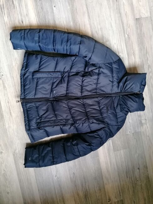 HV Polo Winterjacke, HV Polo , Yvonne, Riding Jackets, Coats & Vests, Lindenfels, Image 3