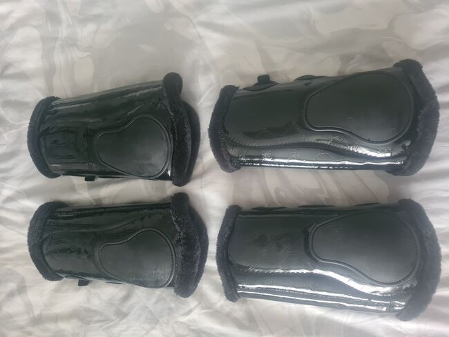 HVPOLO DRESSURGAMASCHEN Gr.L, HVPOLO , Madeleine Hointza , Tendon Boots, Edermünde, Image 3