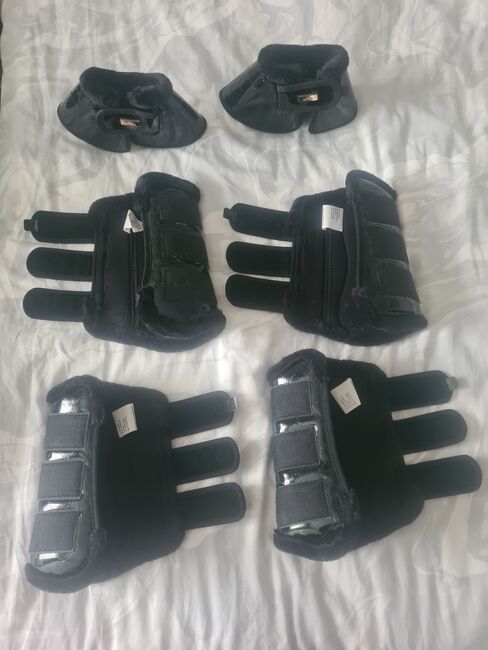 HVPOLO DRESSURGAMASCHEN Gr.L, HVPOLO , Madeleine Hointza , Tendon Boots, Edermünde, Image 2