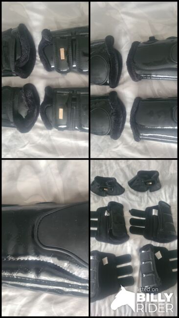 HVPOLO DRESSURGAMASCHEN Gr.L, HVPOLO , Madeleine Hointza , Tendon Boots, Edermünde, Image 5