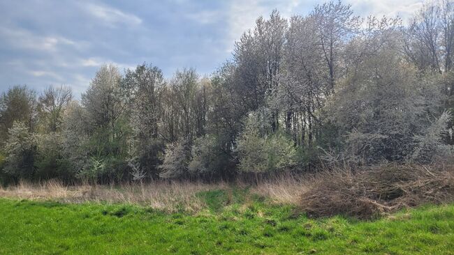 Appartement 15.05.-20.05.2026 mieten, Anita Sieber-Butler , Riding Holidays, Cham 