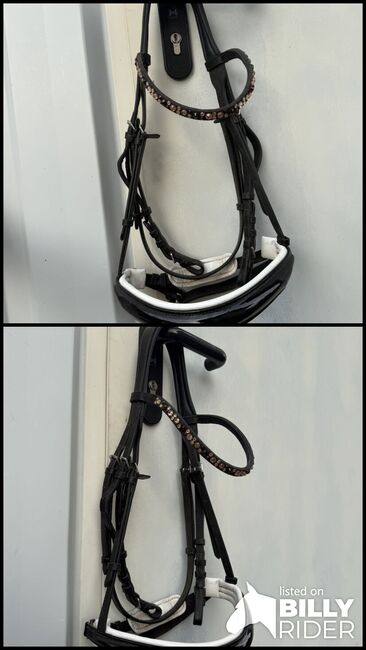 Ich verkaufe meine fast noch nie benutzte Trense, Shayenne, Bridles & Headstalls, Tübingen, Image 3