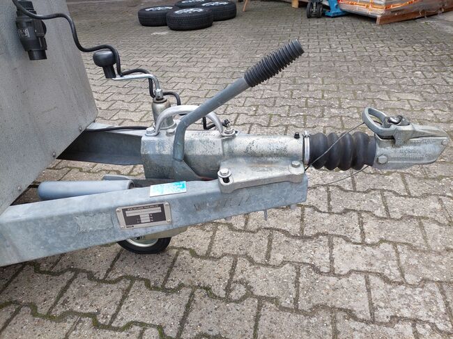 I for Williams HB505R, 2er Pferdeanhänger, I for Williams  HB505R , Claudia , Pferdeanhänger, Trebur , Abbildung 8