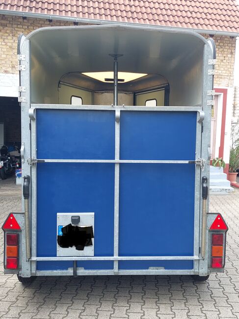 I for Williams HB505R, 2er Pferdeanhänger, I for Williams  HB505R , Claudia , Horse Trailers, Trebur , Image 3