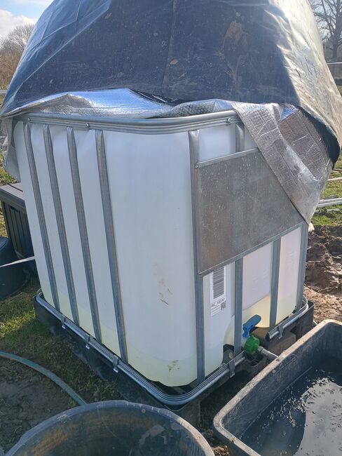 IBC Container 1000 Liter inkl. Frost und UV Schutz Überzug, IBC, Annika, Buckets, Feeders & Waterers, Frankfurt am Main