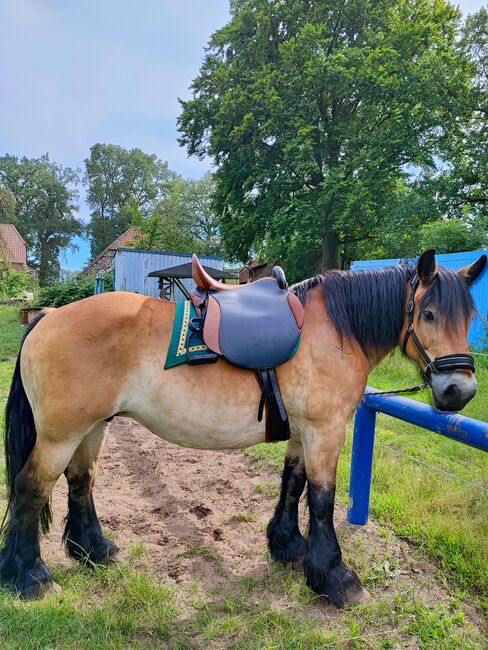 Ibero Sattel, Ibero  Vaquero Breitschaft , Gabi Thomsen , All Purpose Saddle, Lüchow, Image 2