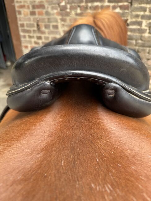 Islandpferd Sattel Federline 17Zoll, Federline, Alex, Icelandic Saddle, Düsseldorf , Image 7