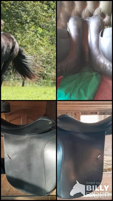 Islandpferdesattel von Sommer, Sommer Tölt, Susanne Pourroy , Icelandic Saddle, Finning, Image 7
