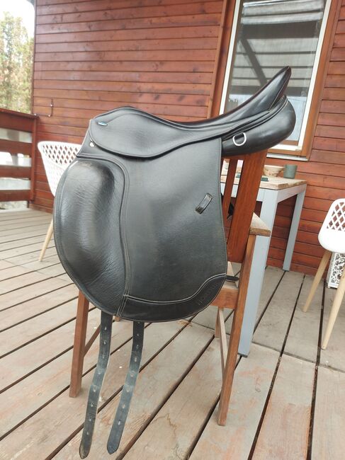 Iceline Hördur, rotes Kopfeisen, Iceline Hördur, Pet, Icelandic Saddle, Simontornya