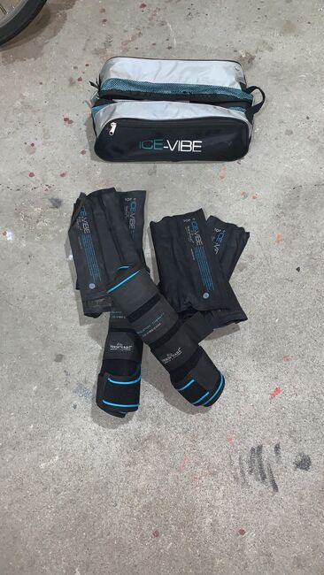 ICEVibe set in gr Warmblut, Horseware ICEVibes, Jacqui, Tendon Boots, Linz