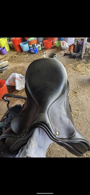 Ideal Susannah 17 inch medium wide, Ideal  Susannah , Lucy Leeder, Dressage Saddle, Felsted, Dunmow