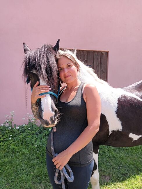 Irish Tinker Stute, Kristina , Horses For Sale, Simmelsdorf , Image 2