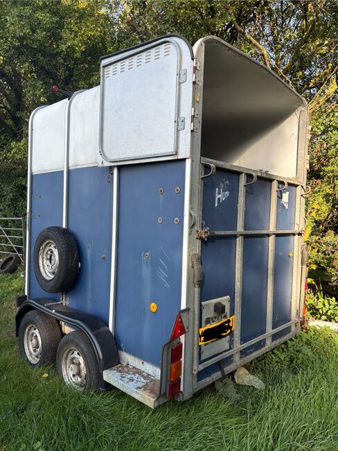 Ifor willams 510 trailer, ifor Williams  510, Nikki sawyer, Przyczepa konna, Ipswich, Image 4