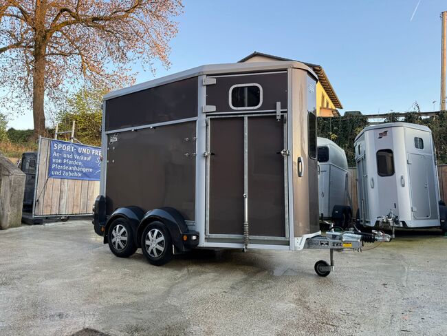 Ifor Williams HB506 mit Frontausstieg, Ifor Williams HB 506, Sport- und Freizeitpferde Fuchs (Sport- und Freizeitpferde Fuchs), Pferdeanhänger, Ehingen