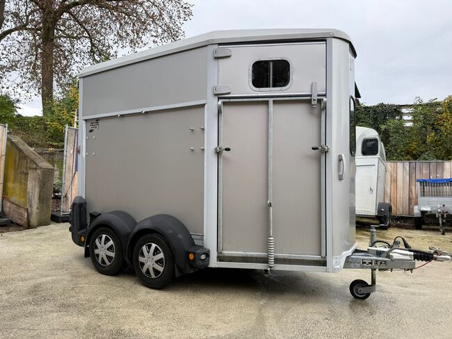 Ifor Williams HB506 Frontausstieg, Ifor Williams HB 506, Sport- und Freizeitpferde Fuchs (Sport- und Freizeitpferde Fuchs), Pferdeanhänger, Ehingen