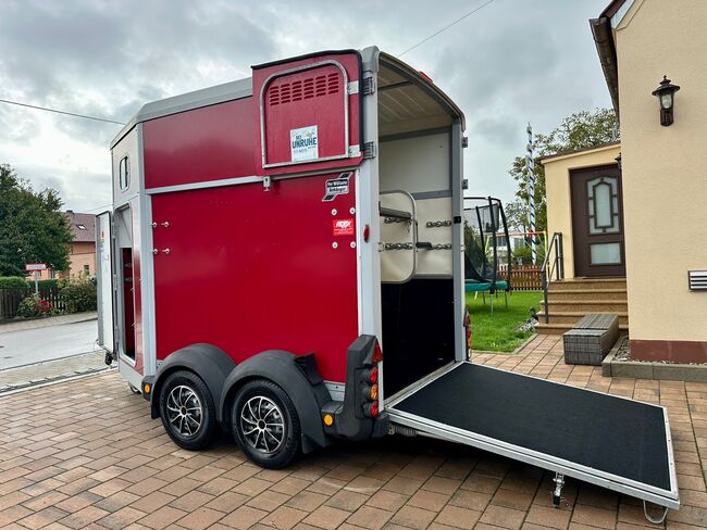 ❗️Ifor Williams HB506 NEUW. Saka Pferdeanhänger Pferdehänger, Ifor Williams HB 506, Fuchs Daniel, Ellgau - Pferdeanhänger seit 2016  (Nutzfahrzeughandel und Vermietung Daniel Fuchs ), Pferdeanhänger, Ellgau , Abbildung 6