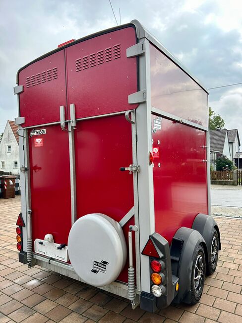 ❗️Ifor Williams HB506 NEUW. Saka Pferdeanhänger Pferdehänger, Ifor Williams HB 506, Fuchs Daniel, Ellgau - Pferdeanhänger seit 2016  (Nutzfahrzeughandel und Vermietung Daniel Fuchs ), Horse Trailers, Ellgau , Image 12