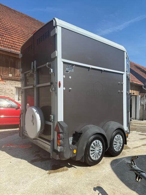 Ifor Williams HB506 Tür/Rampenkombi Pferdeanhänger, Ifor Williams HB506, Sport- und Freizeitpferde Fuchs (Sport- und Freizeitpferde Fuchs), Pferdeanhänger, Ehingen, Abbildung 6