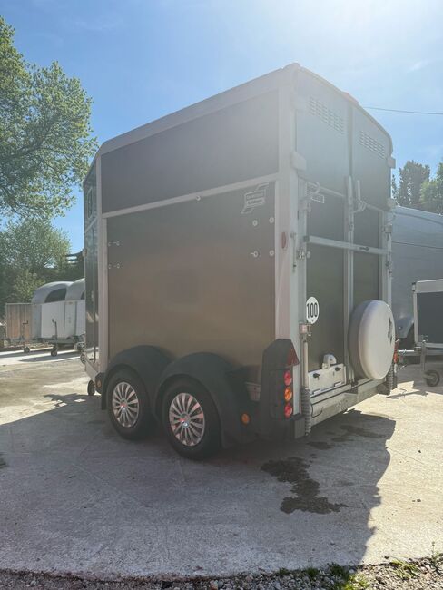 Ifor Williams HB506 Tür/Rampenkombi Pferdeanhänger, Ifor Williams HB506, Sport- und Freizeitpferde Fuchs (Sport- und Freizeitpferde Fuchs), Pferdeanhänger, Ehingen, Abbildung 7
