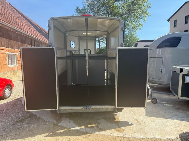 Ifor Williams HB506 Tür/Rampenkombi Pferdeanhänger, Ifor Williams HB506, Sport- und Freizeitpferde Fuchs (Sport- und Freizeitpferde Fuchs), Pferdeanhänger, Ehingen, Abbildung 10