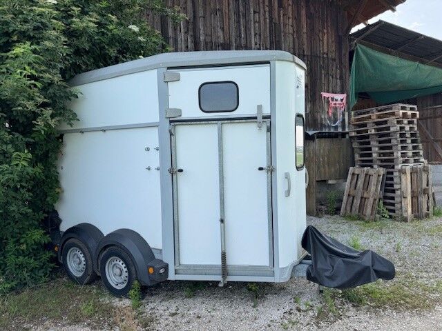 Ifor Williams HB506 Vorderausstieg, Ifor Williams HB506, Neverich, Pferdeanhänger, Wohlen b. Bern