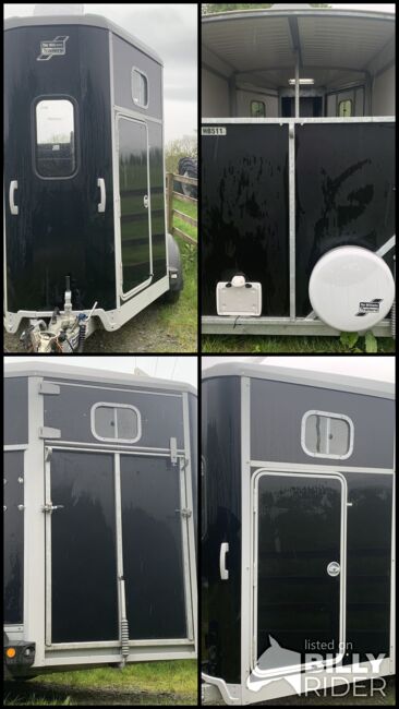 Ifor Williams HB511 trailer, Linda thomas, Horses For Sale, Gwynedd north wales, Image 5