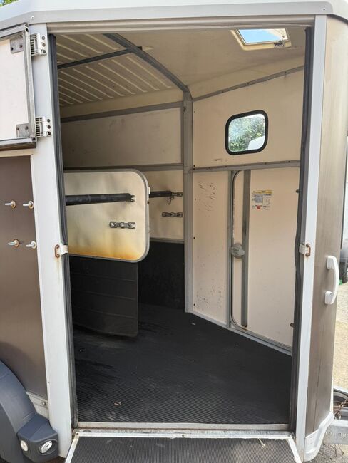 Ifor Williams HB511 Tür/Rampenkombi Pferdeanhänger, Ifor Williams HB511, Sport- und Freizeitpferde Fuchs (Sport- und Freizeitpferde Fuchs), Pferdeanhänger, Ehingen, Abbildung 12