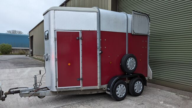 Ifor Williams Horse Trailer (1999), Ifor Williams 505, Ms Patricia Edwards, Pferdeanhänger, Penzance