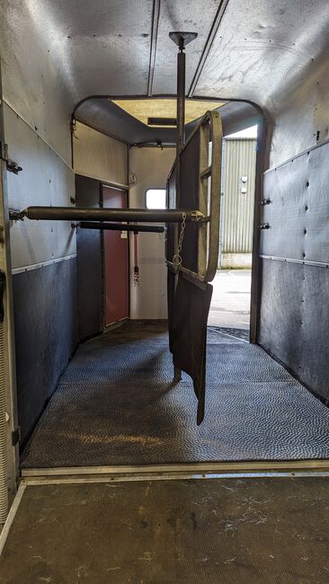 Ifor Williams Horse Trailer (1999), Ifor Williams 505, Ms Patricia Edwards, Przyczepa konna, Penzance, Image 8
