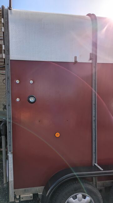 Ifor Williams Horse Trailer (1999), Ifor Williams 505, Ms Patricia Edwards, Horse Trailers, Penzance, Image 3
