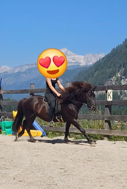 Islandpferd, Ingrid , Horses For Sale, Zederhaus 