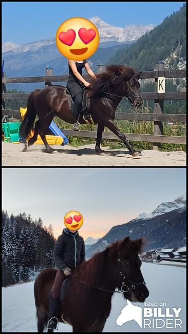 Islandpferd, Ingrid , Horses For Sale, Zederhaus , Image 3
