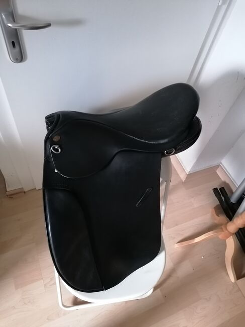 Islandsattel SK Töltsattel, SK, Naomi, Icelandic Saddle, Bargfeld-Stegen, Image 2
