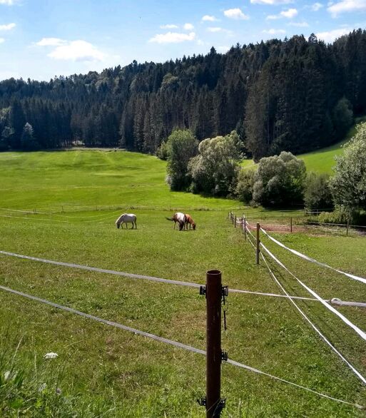 Ich biete stellplatz in meinem Offenstall an, Elina, Horse Stables, Waldkirchen