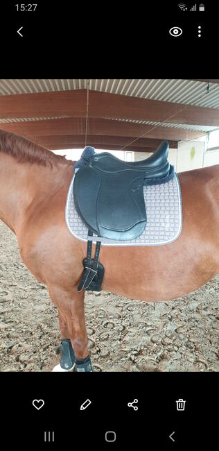 Ikonic Dressursattel neuwertig, Ikonic  Light Hybrid , Jess, Dressage Saddle, Neuwied , Image 2