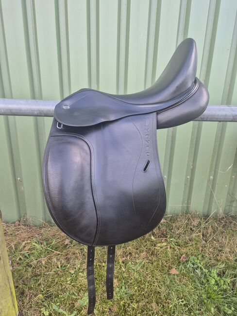 Ikonic Evolution Dressursattel 18", Ikonic Evolution, Sarah, Dressage Saddle, Braunschweig