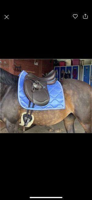Ikonic Light Dressursattel, Ikonic Light Hybrid, Maren, Dressage Saddle, Bad Harzburg 