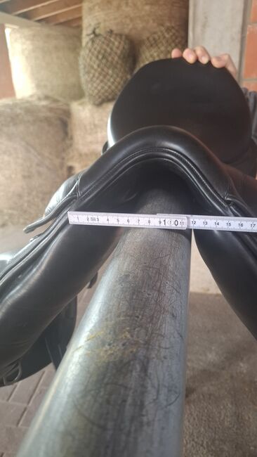 Ikonic ProLine Dressursattel, Ikonic Pro Line , Worrell , Dressage Saddle, Horn-Bad Meinberg , Image 4