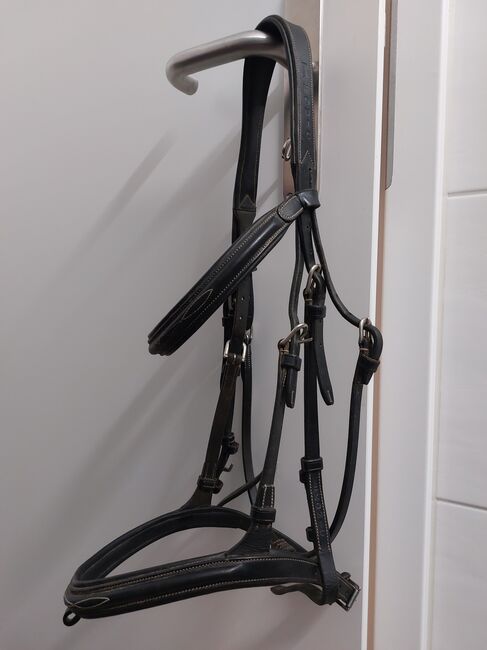 Ikonic Zaum grösse cob, Ikonic Englische Trense, Stefanie gerber, Bridles & Headstalls, Flüh